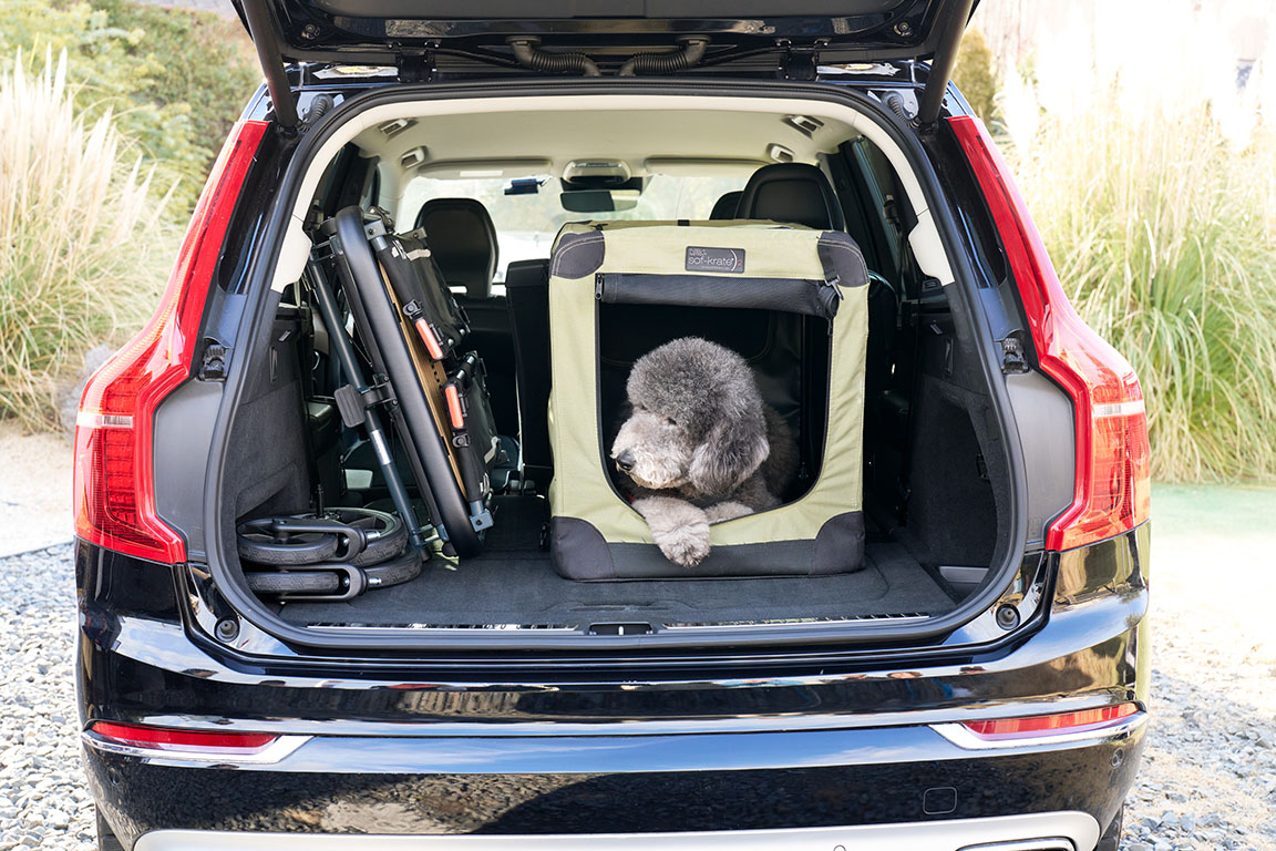 耐荷重80kg！アウトドアカートとしても活躍する超大型犬・多頭